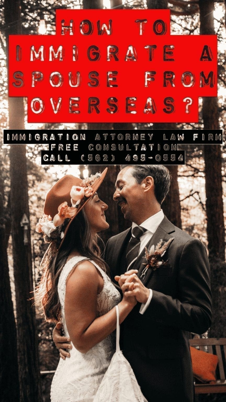 Marriage Petition PINS discussed by Brian D. Lerner