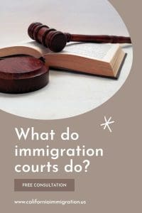 immigration courts 