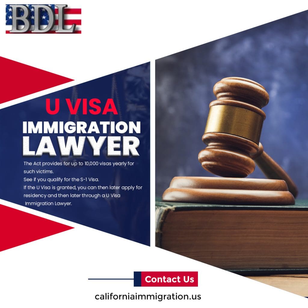 u-visa-immigration-lawyer
