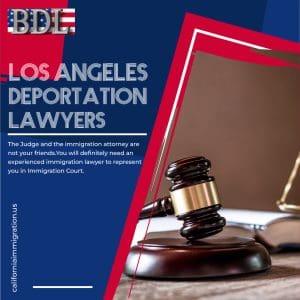 Immigration Law Firm PINS