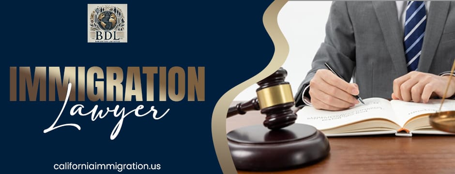 immigration lawyer